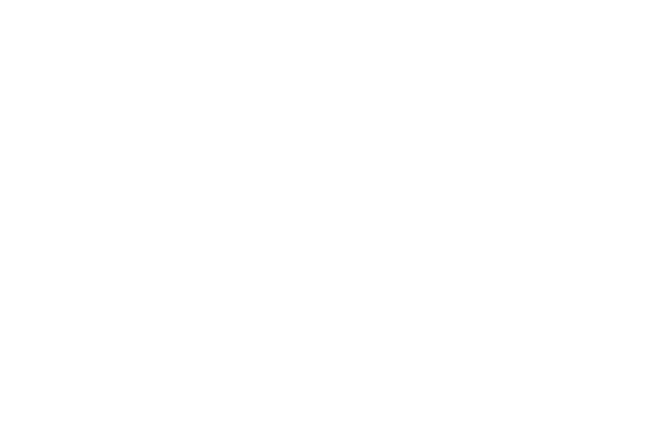 Usis logo